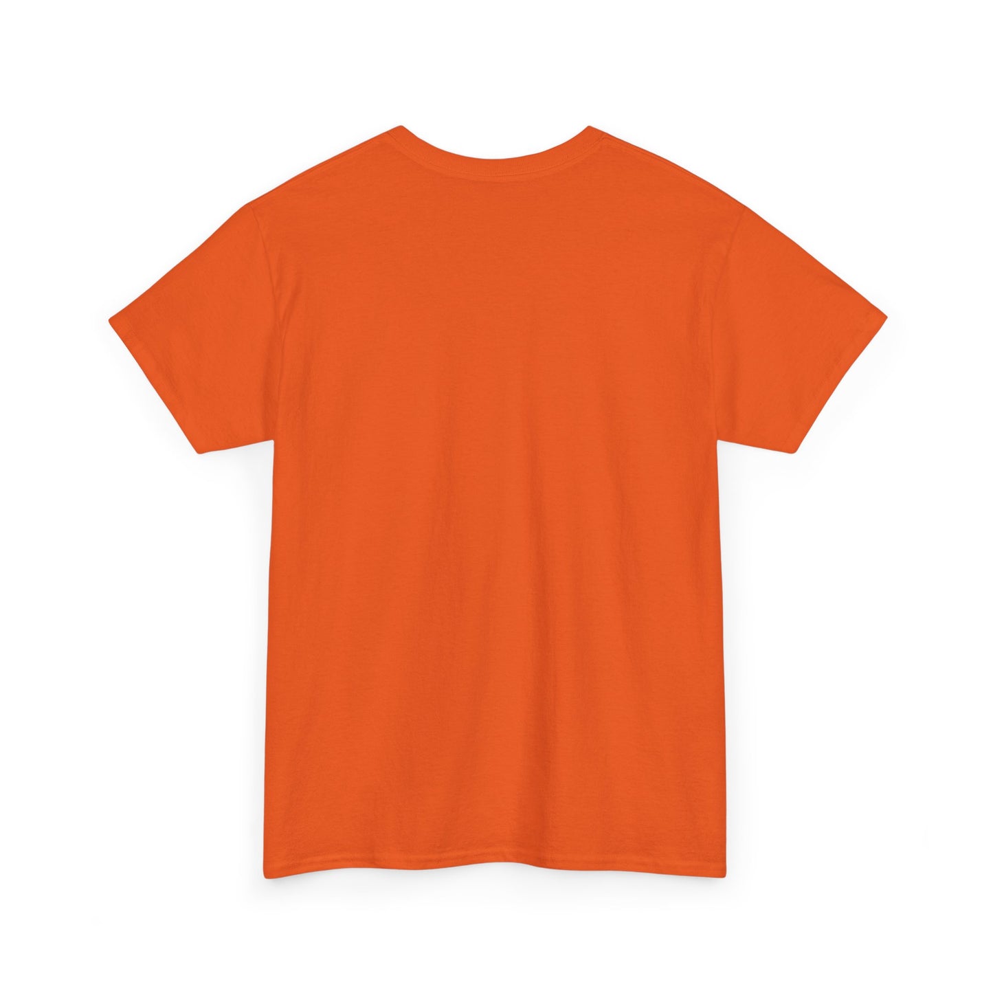 Her Visions Unisex Heavy Cotton Tee